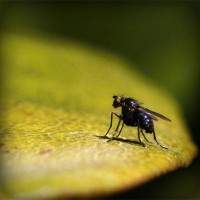 /album/plastic-surgery8/photolia-a07-jpg/